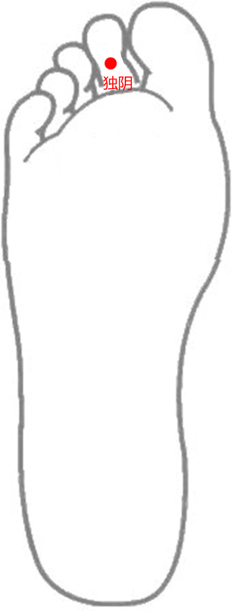 穴位图