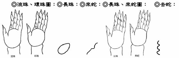 流珠、環珠;長珠、來蛇;去蛇圖