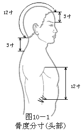 骨度分寸法-
头部